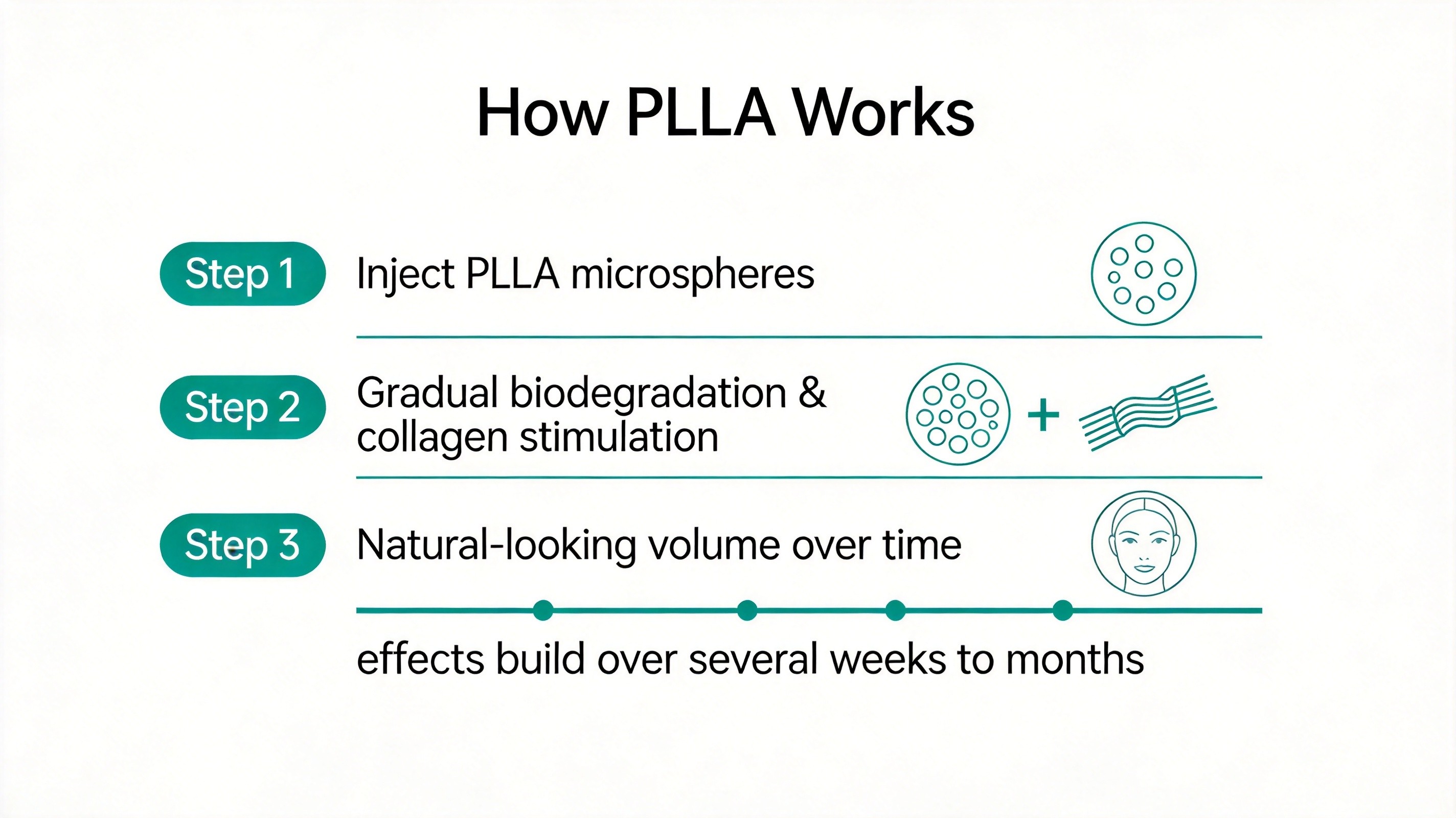 PLLA作用机制示意图
